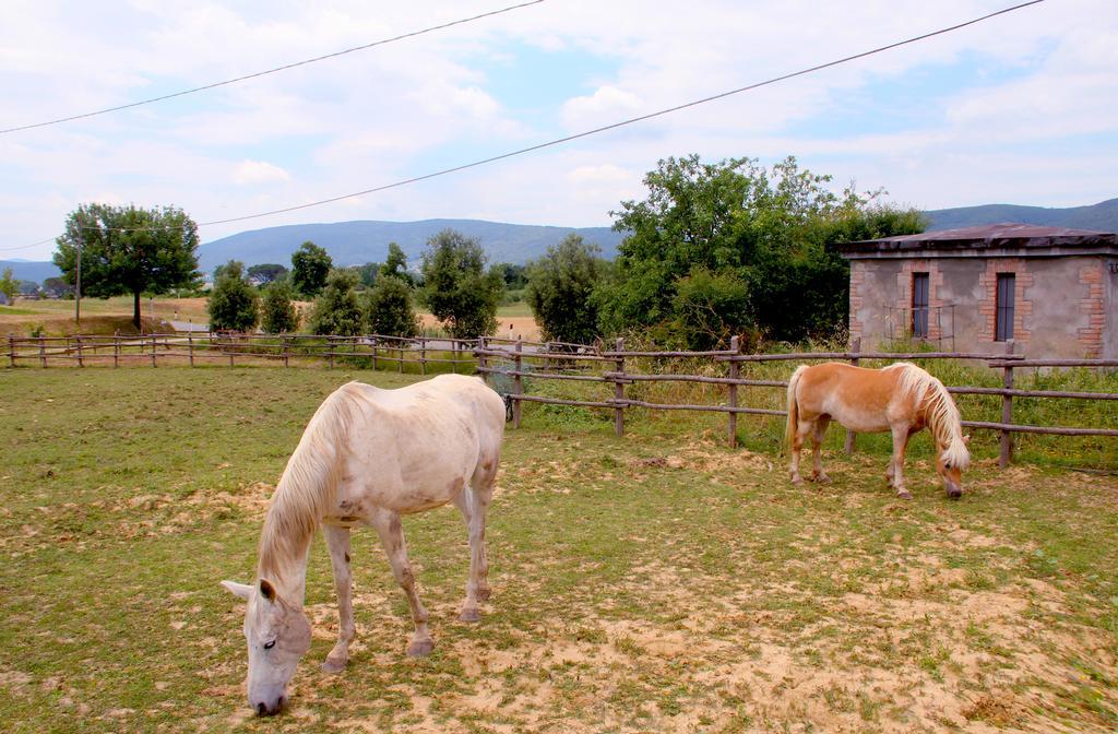 In Toscana Casa de Campo