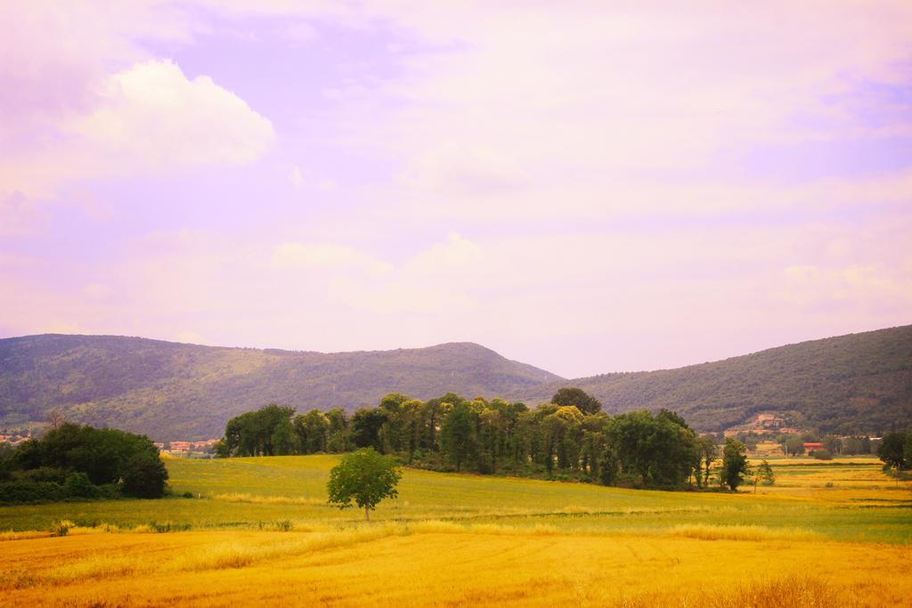 Casa de Campo In Toscana Sovicille