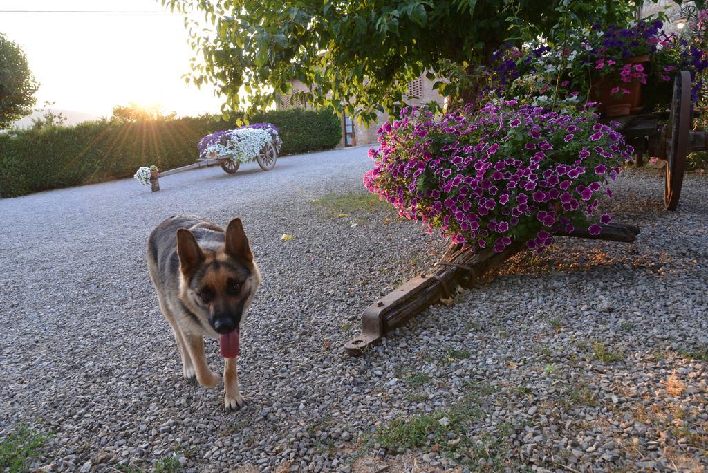 In Toscana Sovicille