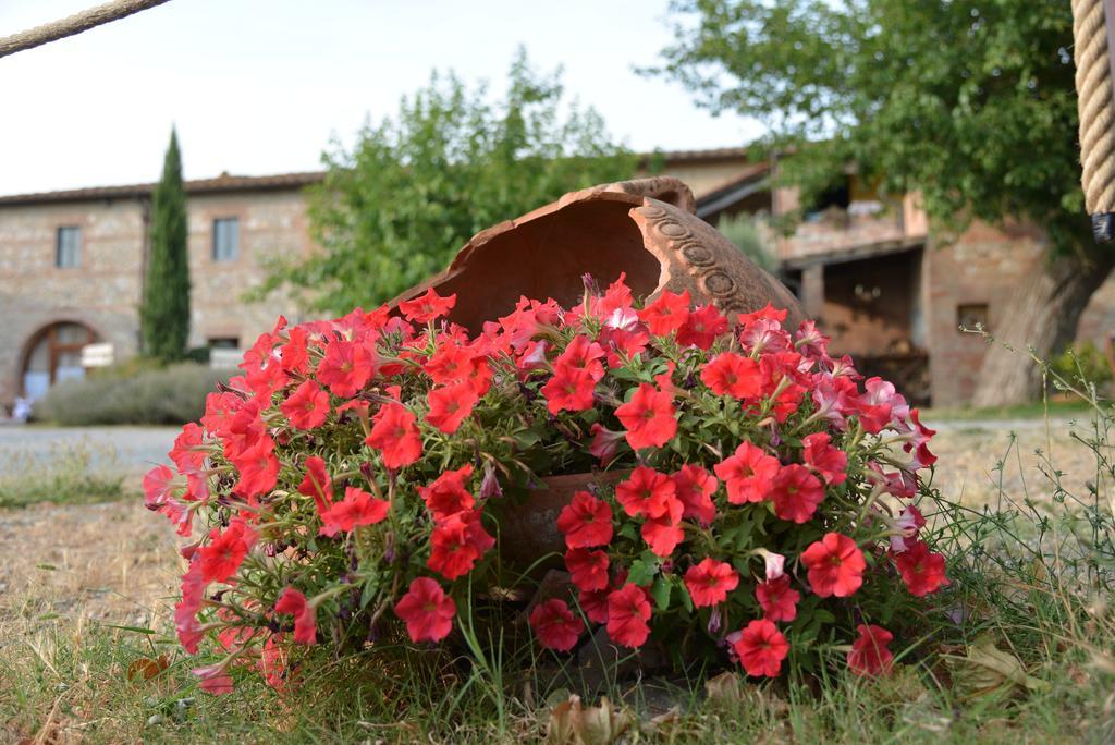In Toscana *